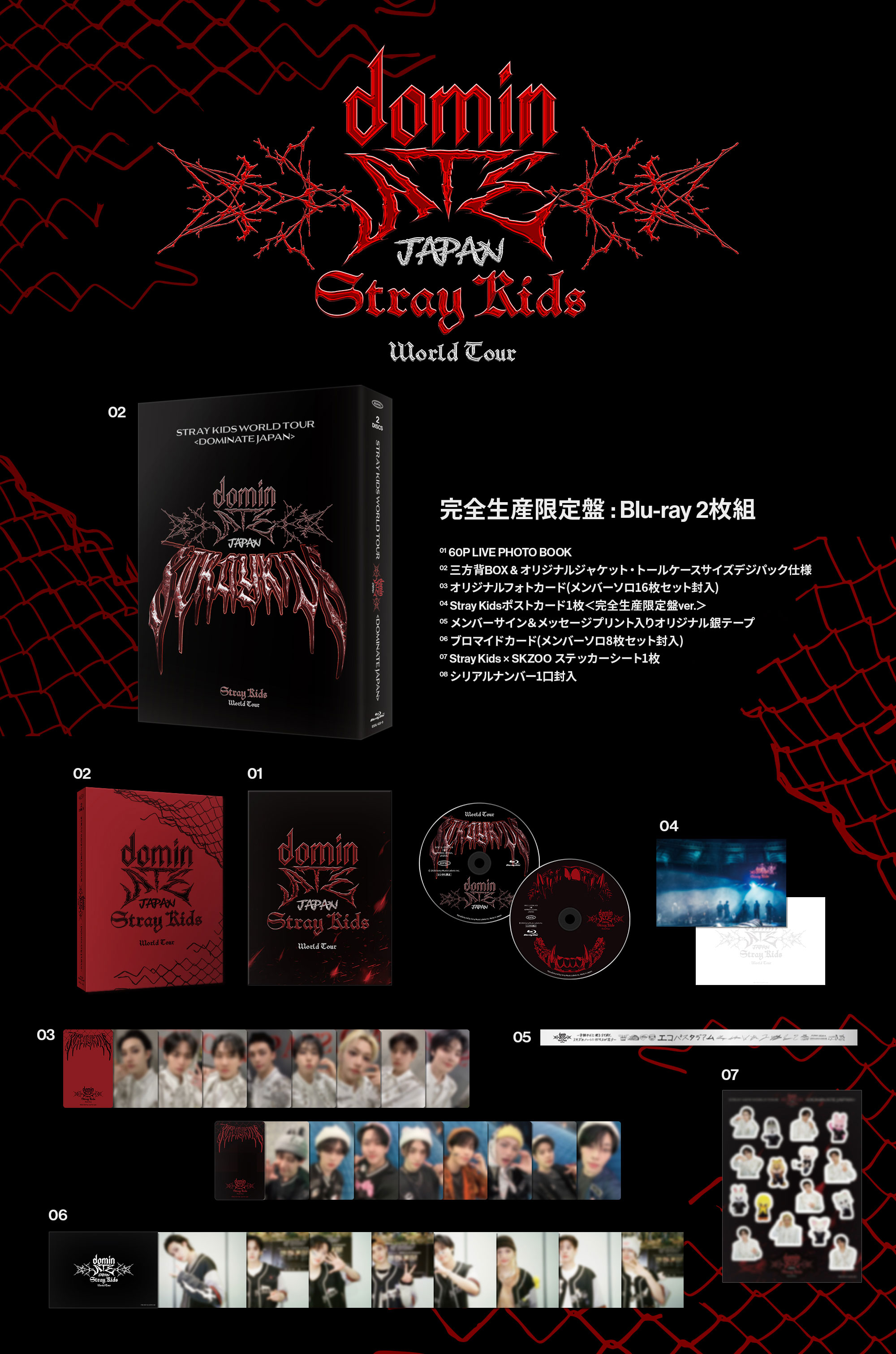 LIVE Blu-ray『Stray Kids World Tour <dominATE JAPAN>』 Special Site