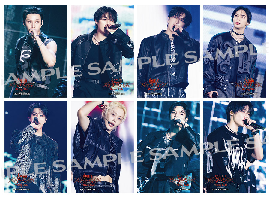 Stray Kids World Tour <dominATE JAPAN> Special Site Stray Kids World Tour <dominATE JAPAN> Special Site