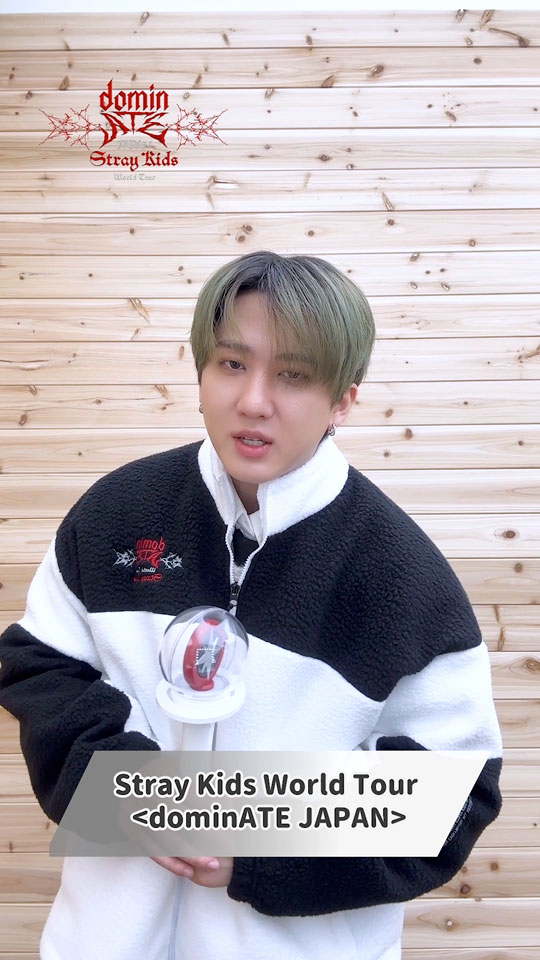 Stray Kids dominATEツアー ペンライト Tシャツ セット T-SHIRT / BLACK【XL】/ Stray Kids『Stray Kids World Tour