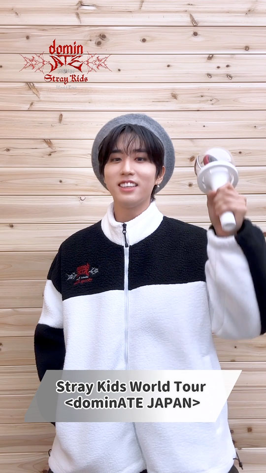 Stray Kids World Tour <dominATE JAPAN> Special Site