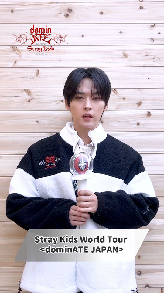 Stray Kids World Tour <dominATE JAPAN> Special Site