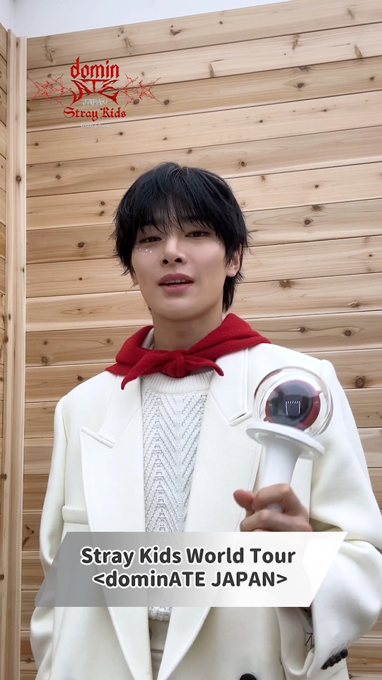 ⭕️関西会場手渡し可能⭕️Stray Kids スキズ リノ ハイタッチ o1080108015555680001.jpg